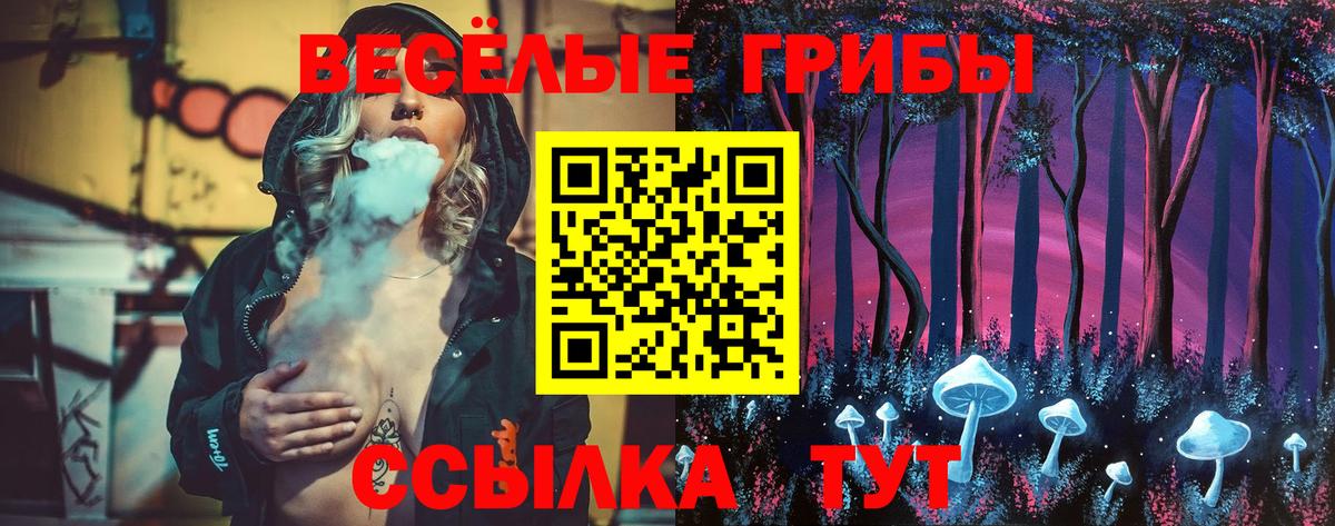 Галлюциногенные грибы MAGIC MUSHROOMS  Галлюциногенные грибы ЛСД  Новошахтинск  Вход с VPN 